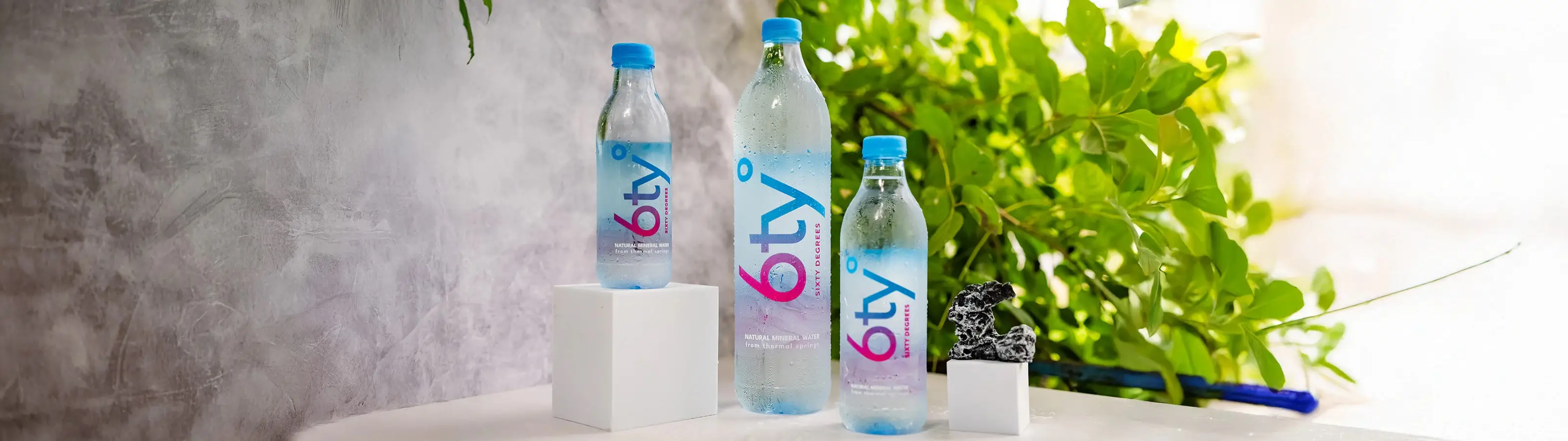 Three bottles of 6ty Degrees mineral water beside a green plant